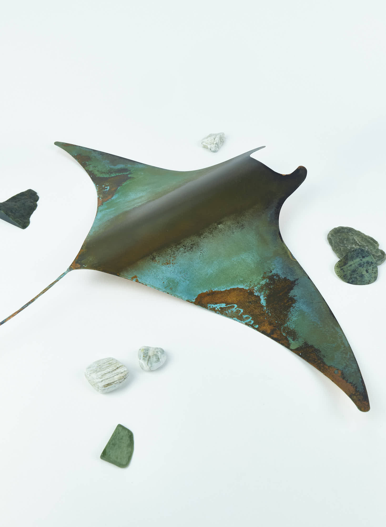 Manta Rays