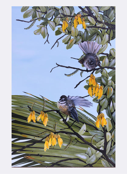 Fantail No.2 - Giclée Print