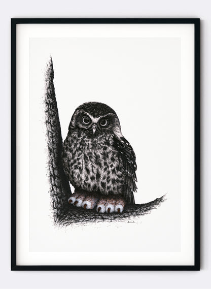 Ruru In Slippers - Giclée Print