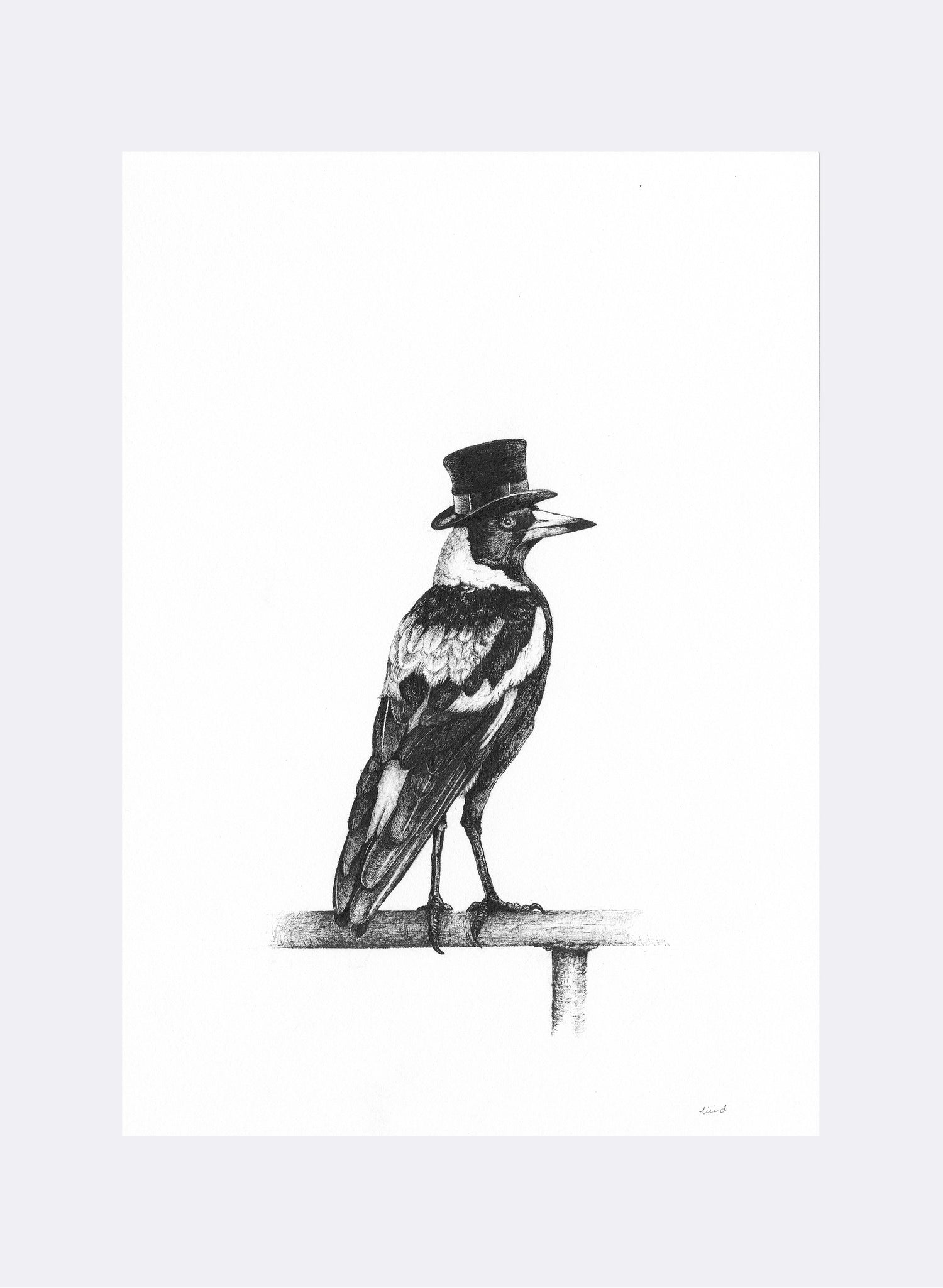 Top Hat Magpie - Giclée Print