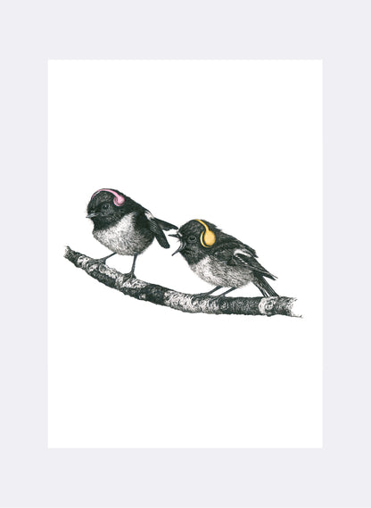 Tomtit w/ Headphones - Giclée Print