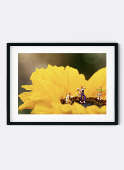 Sunflower Disco - Photographic Print