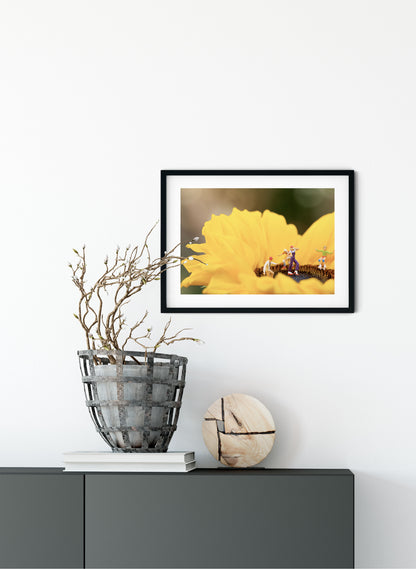 Sunflower Disco - Photographic Print