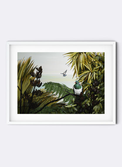 Kereru - Giclée Print