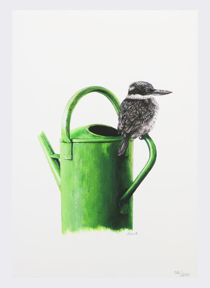 Kingfisher on Watering Can - Giclée Print