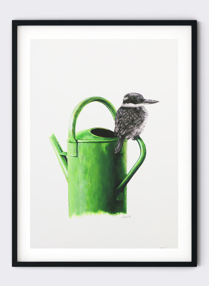 Kingfisher on Watering Can - Giclée Print